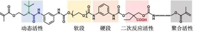 3D打印的“超级橡皮筋”,1毫米的“身躯”能提起一包10公斤的大米!